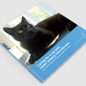 Caring for a cat with lower urinary tract disease