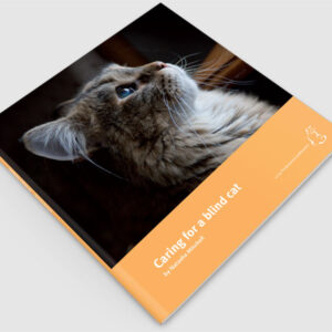 Caring for a Blind Cat