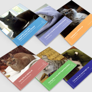 Cat book bundle