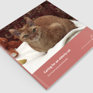 Caring for an elderly cat