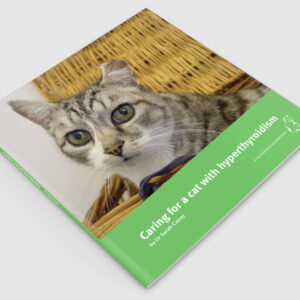 Caring for a cat with hyperthyroidism