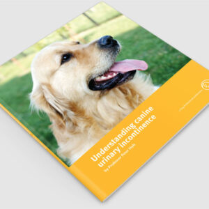 Understanding canine urinary incontinence