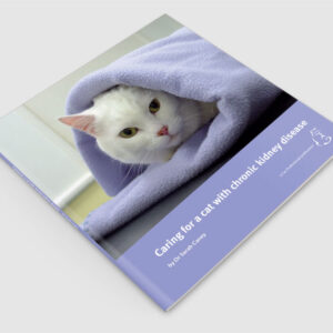 Caring for a cat with chronic kidney disease