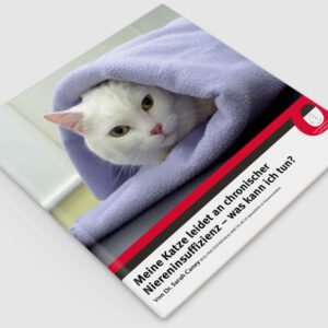 Meine Katze leidet an chronischer Niereninsuffizienz - was kann ich tun?