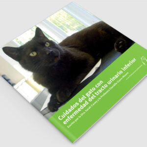 Cuidados del gato con enfermedad del tracto urinario inferior