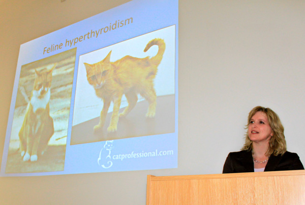 lecturing Feline Lecture for Vets