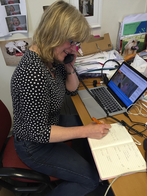 phone-referral Vet telephone referral